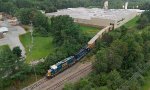 L053 Switches International Paper